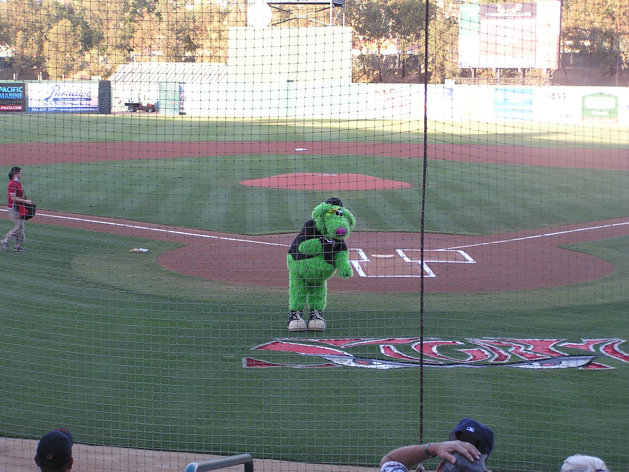 Thunder, the Lake Elsinore Mascot